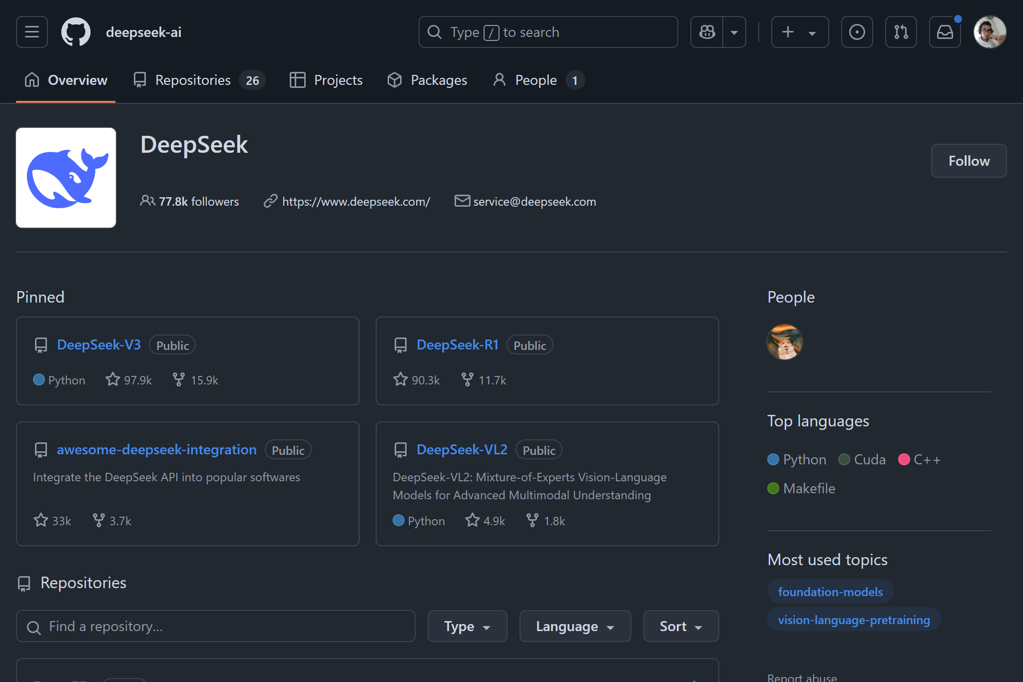 Preview of DeepSeek AI Repository